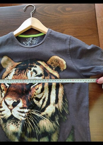 ZARA ERKEK ÇOCUK TİŞÖRT - Görsel 6