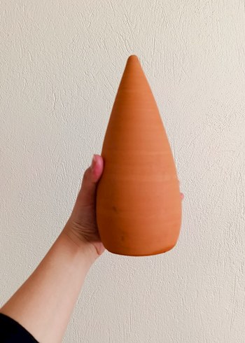 Akvaryum süsü - Görsel 3