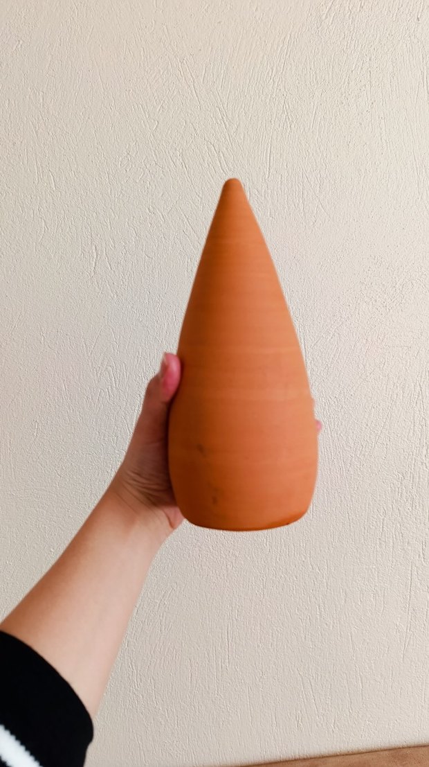 Akvaryum süsü - Görsel 3