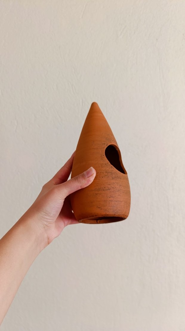 Akvaryum süsü - Görsel 5