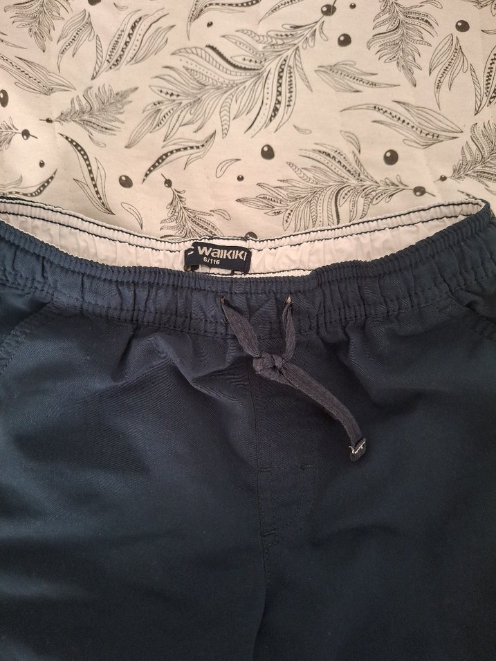 LC Waikiki çocuk deniz şortu - Görsel 2