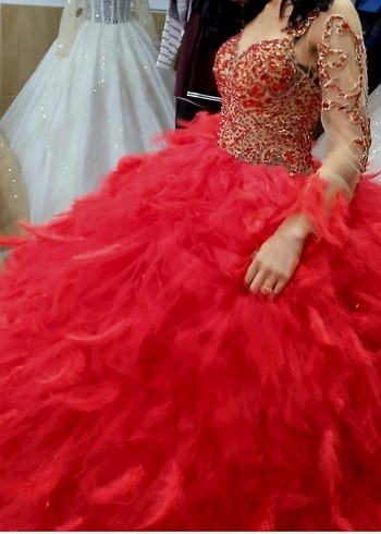 kırmızı tüylü nişanlık - Görsel 2