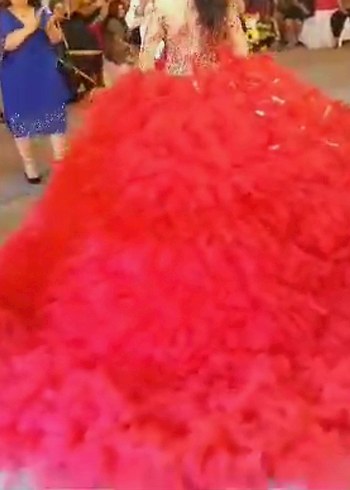 kırmızı tüylü nişanlık - Görsel 4