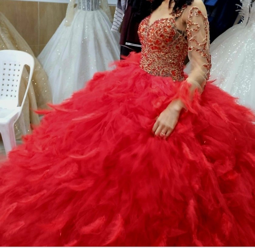 kırmızı tüylü nişanlık - Görsel 2