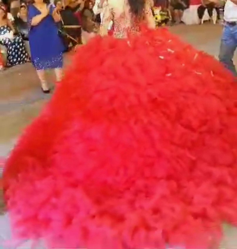 kırmızı tüylü nişanlık - Görsel 4