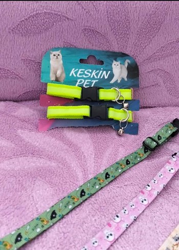 Renkli Kedi Tasması 2'li Set - Görsel 3