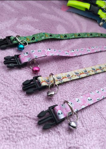 Renkli Kedi Tasması 2'li Set - Görsel 2