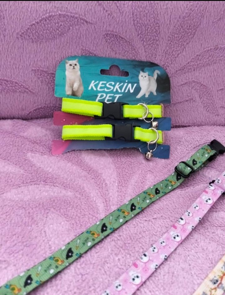 Renkli Kedi Tasması 2'li Set - Görsel 3