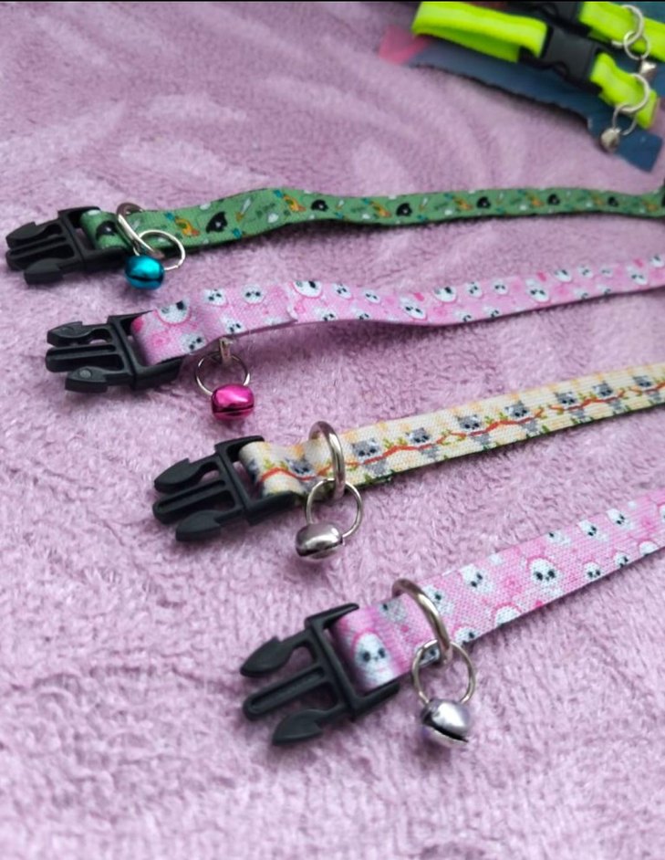 Renkli Kedi Tasması 2'li Set - Görsel 2