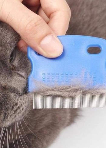 Bit Tarağı - Görsel 2