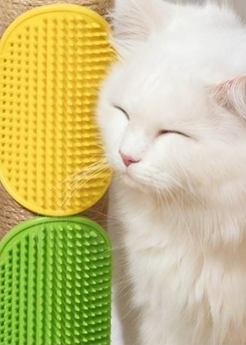 Pati Dostlarımıza Özel Set... - Görsel 5