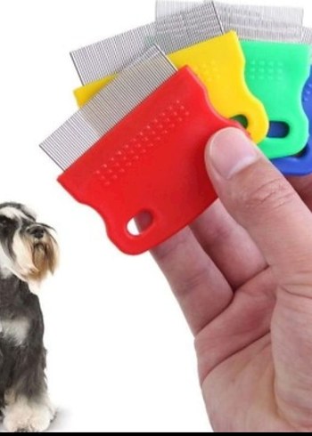 Pati Dostun(m)uza Özel Kedi Aksesuar Seti - Görsel 6