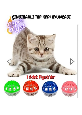 Pati Dostun(m)uza Özel Kedi Aksesuar Seti - Görsel 5