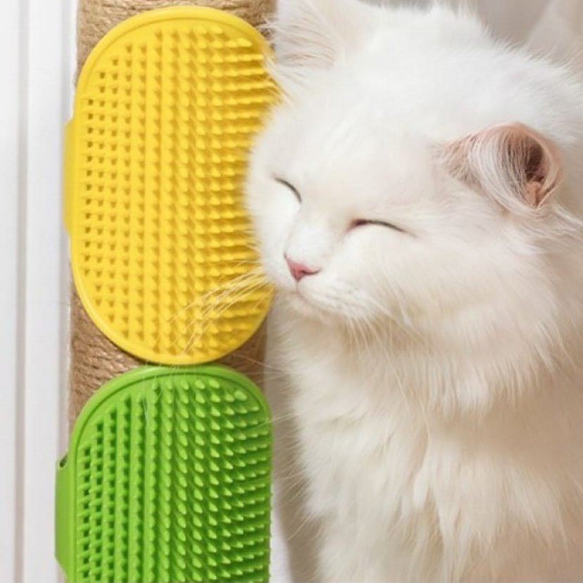 Pati Dostun(m)uza Özel Kedi Aksesuar Seti - Görsel 4