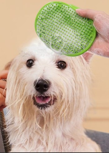 Silikon Tüy Toplama ve Yıkama Fırçası - Görsel 4