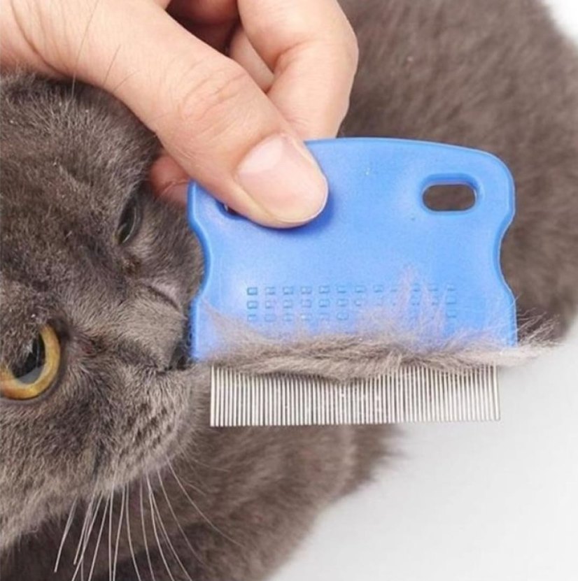 Bit Tarağı - Görsel 2