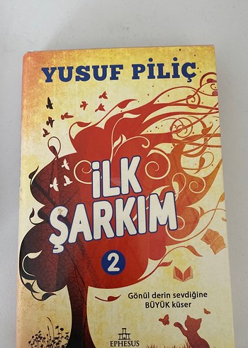 İlk Şarkım - Yusuf Piliç - Görsel 2