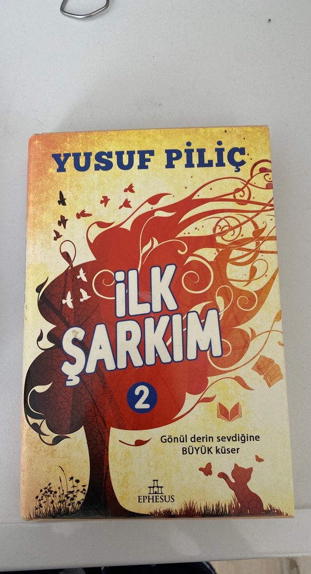 İlk Şarkım - Yusuf Piliç - Görsel 2