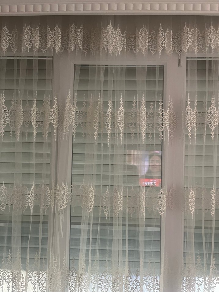Sim nakışlı güpürlü Beyaz tül Perde - Görsel 2