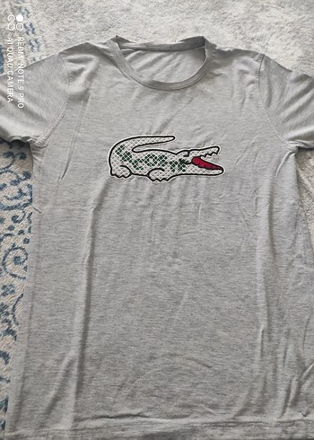 Gri Erkek Kısa Kollu Tişört - Görsel 2