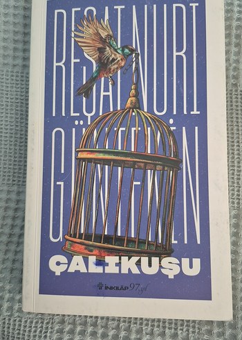 Çalıkuşu Romanı