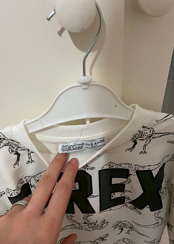 Erkek Çocuk T-Rex Baskılı Sweatshirt - Görsel 4