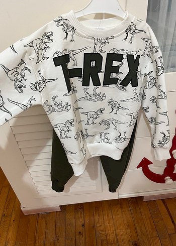 Erkek Çocuk T-Rex Baskılı Sweatshirt - Görsel 3