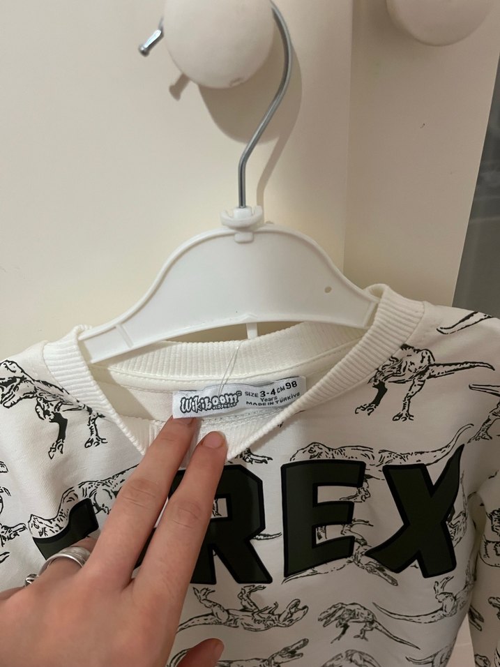 Erkek Çocuk T-Rex Baskılı Sweatshirt - Görsel 4