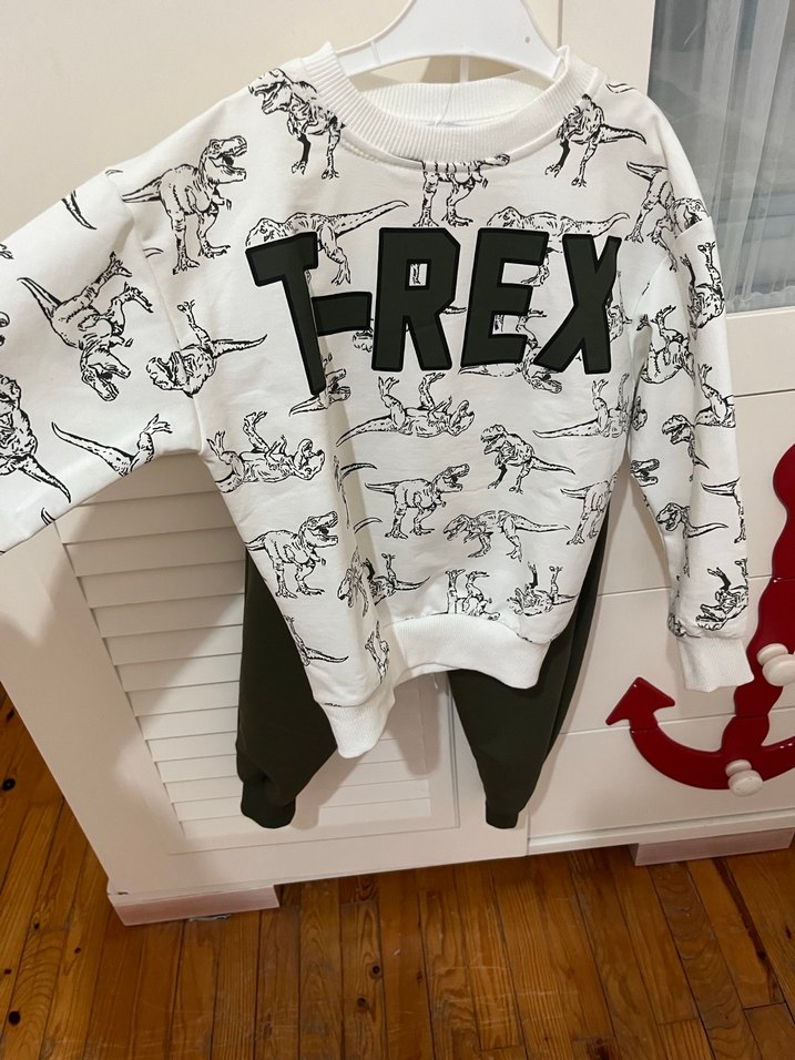 Erkek Çocuk T-Rex Baskılı Sweatshirt - Görsel 3