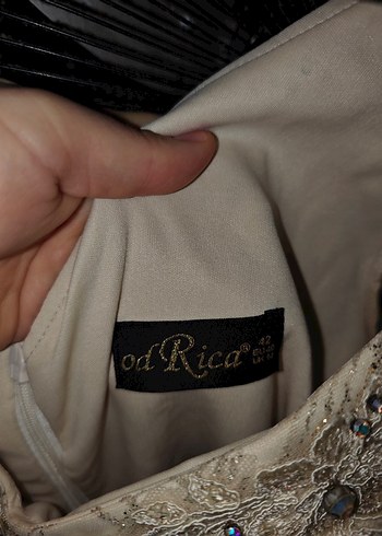 Payetli V Yakalı Bej Uzun Abiye Elbise - Görsel 3