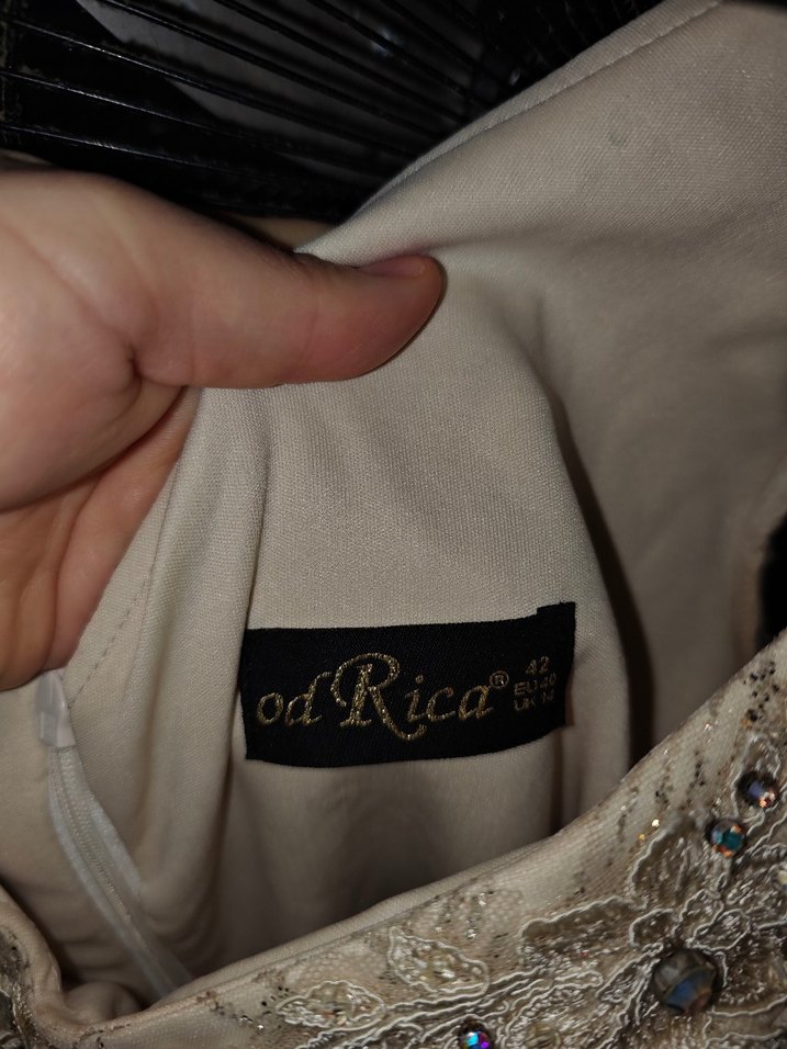 Payetli V Yakalı Bej Uzun Abiye Elbise - Görsel 3