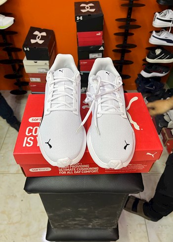 Orijinal Puma - Görsel 3