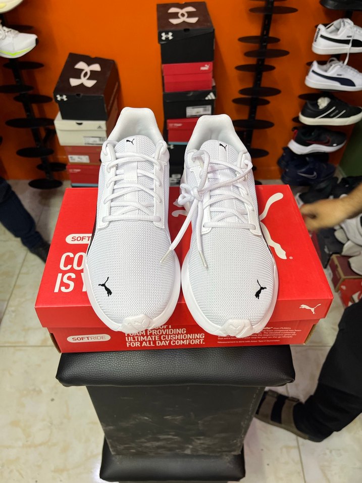 Orijinal Puma - Görsel 3