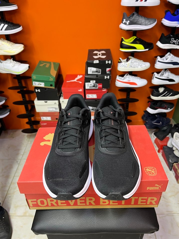 Orijinal Puma - Görsel 3