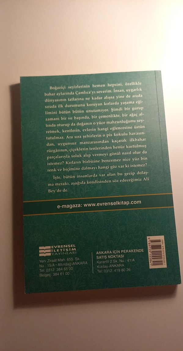 Namık Kemal - İntibah Romanı - Görsel 2