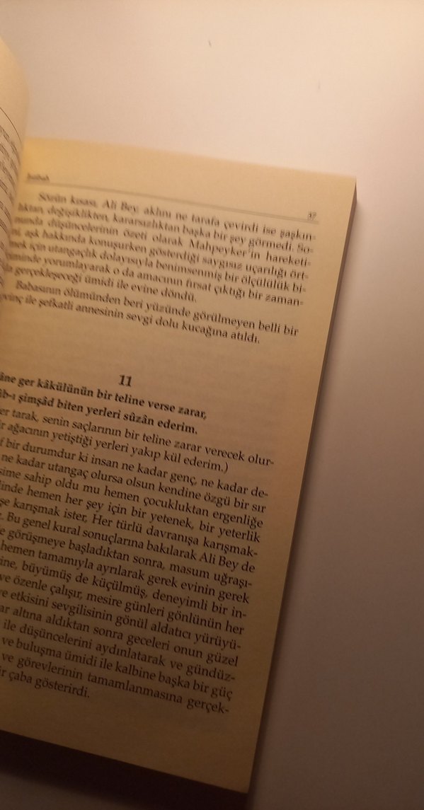 Namık Kemal - İntibah Romanı - Görsel 4