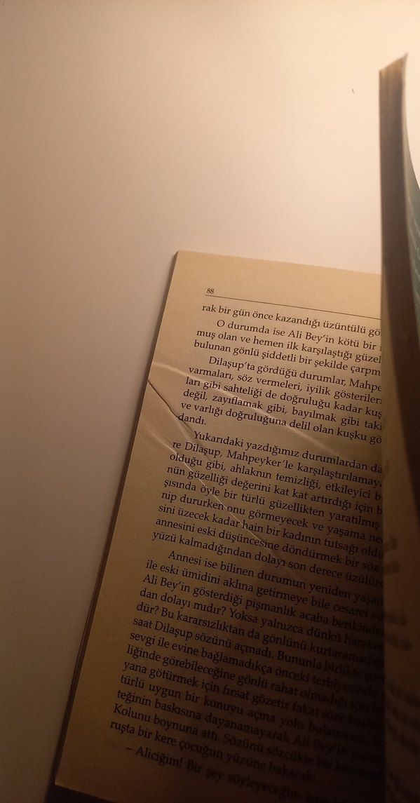 Namık Kemal - İntibah Romanı - Görsel 3