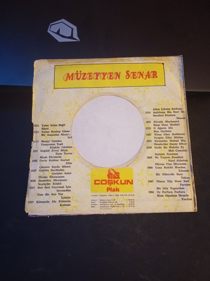 Müzeyyen Senar 45 Lik - Görsel 3