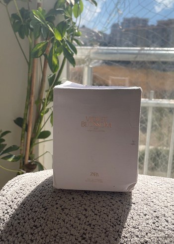Zara Violet Blossom Kadın Parfümü 100 ml