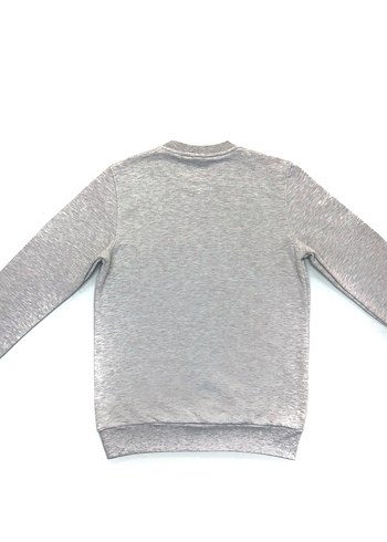 Gri Unisex Bisiklet Yaka Sweatshirt - Görsel 3