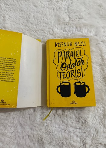 Paralel Odalar Teorisi - Ayşenur Nazlı
