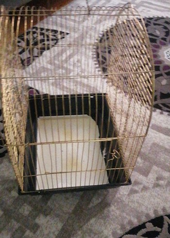 Parlak Altın Renkli Kuş Kafesi - Görsel 2