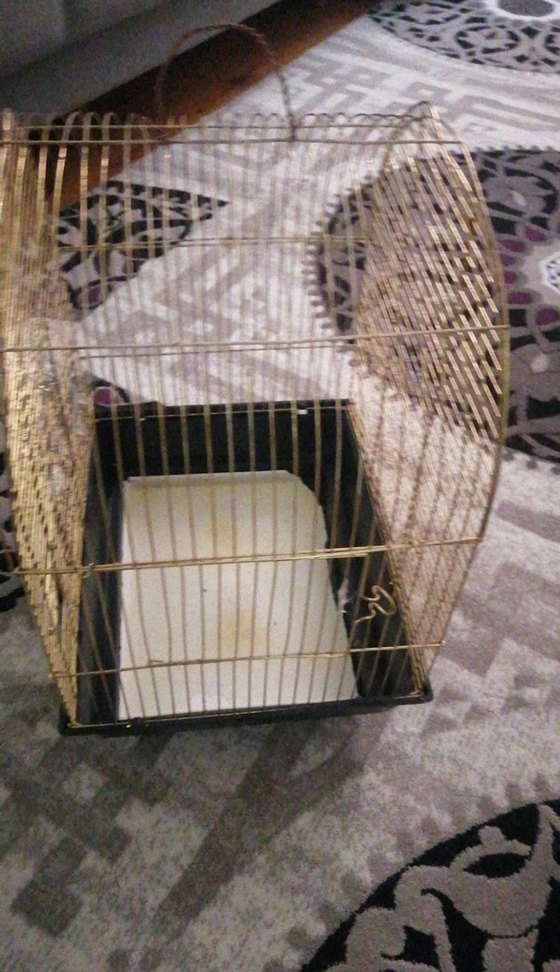 Parlak Altın Renkli Kuş Kafesi - Görsel 2