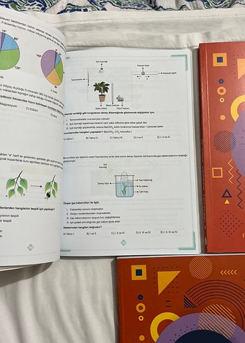 Beden meb 12. Sınıf Tekrar Testleri Seti 3 Kitap