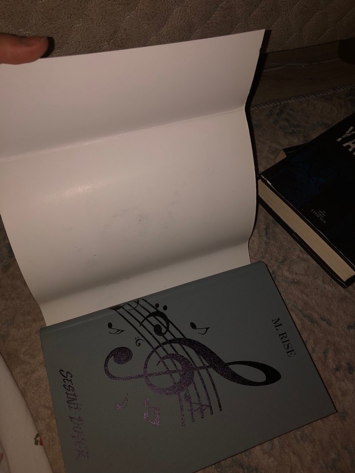 Sesini Duyur - M. Rise ciltli - Görsel 2