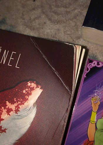 R. Gaye Önel Roman Seti - Görsel 4