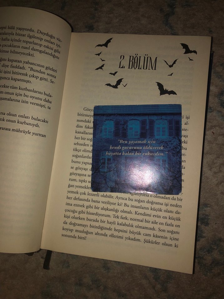 Yaralasar - Ciltli - Görsel 3