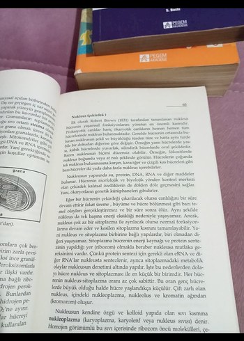 GENEL BİYOLOJİ - Görsel 4