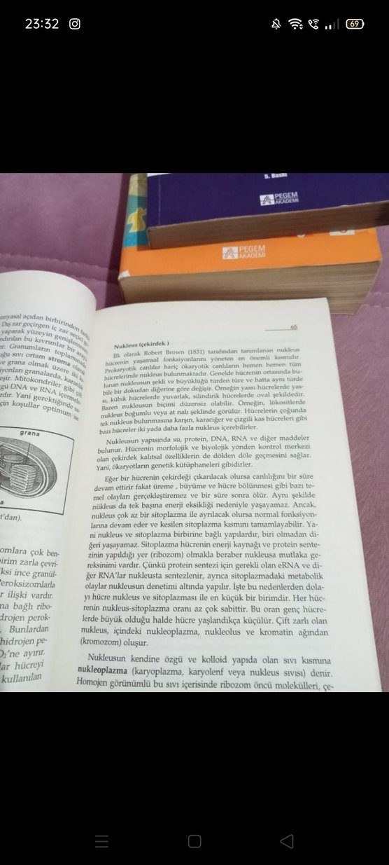 GENEL BİYOLOJİ - Görsel 4