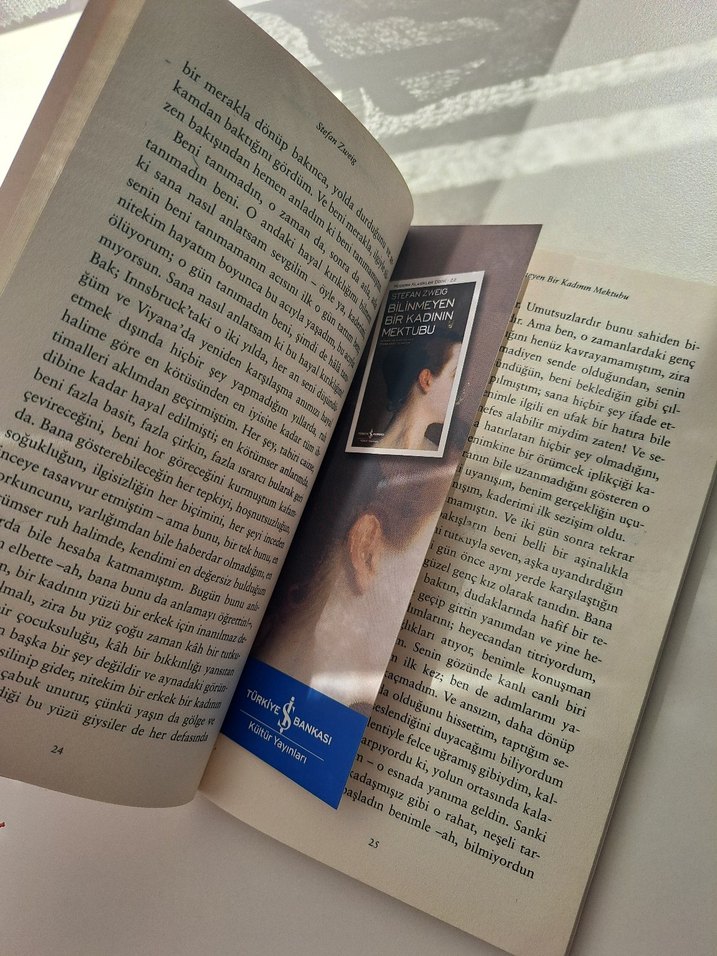 Bilinmeyen Bir Kadının Mektubu - Stefan Zweig - Görsel 2